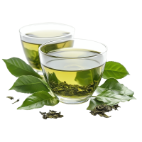 AdobeStock_1521301038